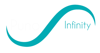 Puno Infinity Holdings